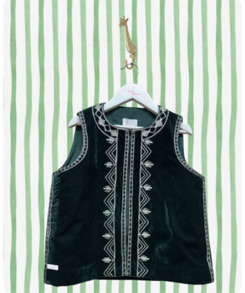 Dark green velvet with silver lines