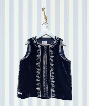 Dark blue velvet with silver lines